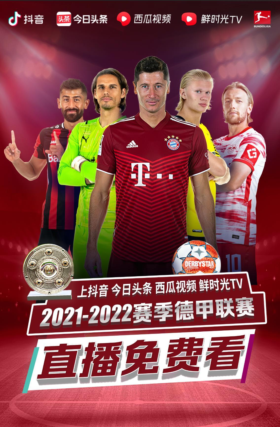 率和传