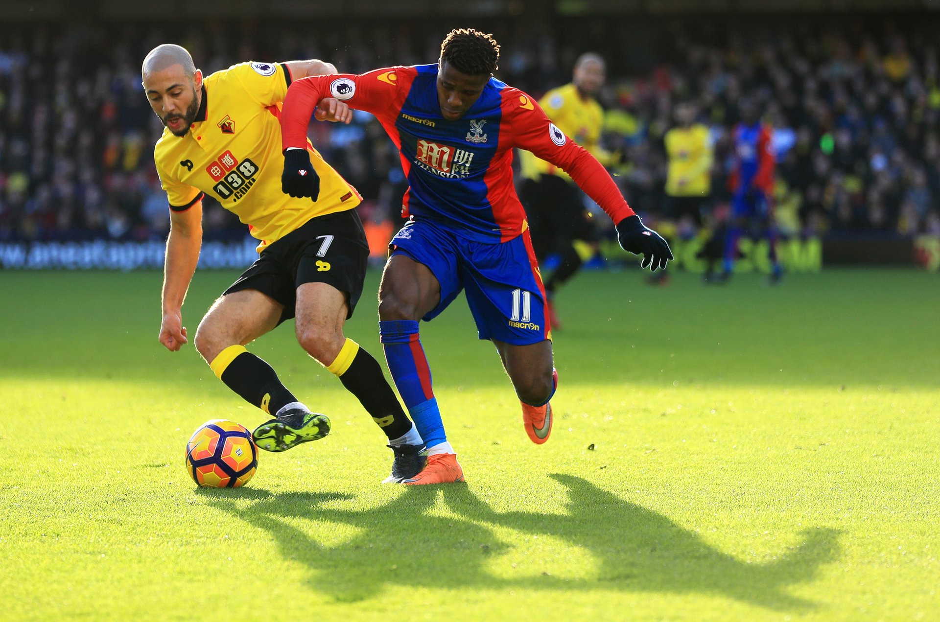 管理层看到 管理层看到